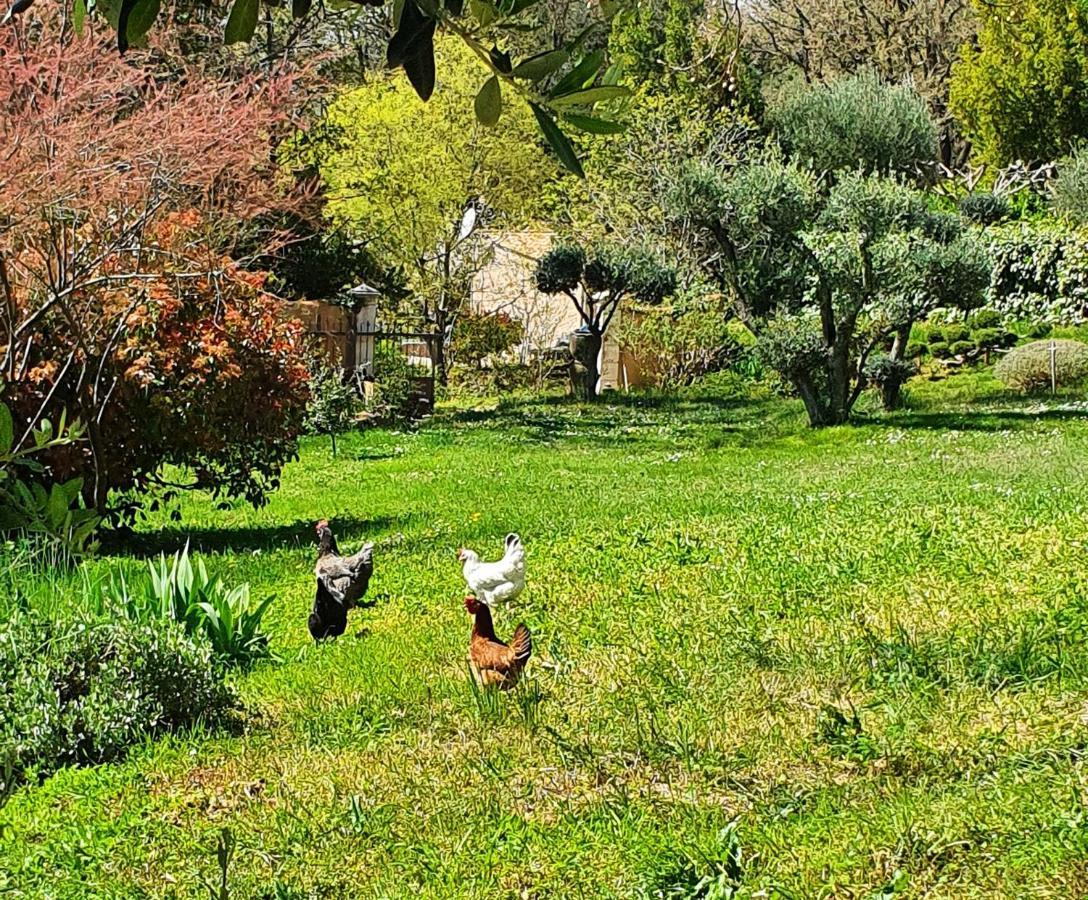 Monteze Paradis Saint-Christol-lès-Alès Eksteriør bilde